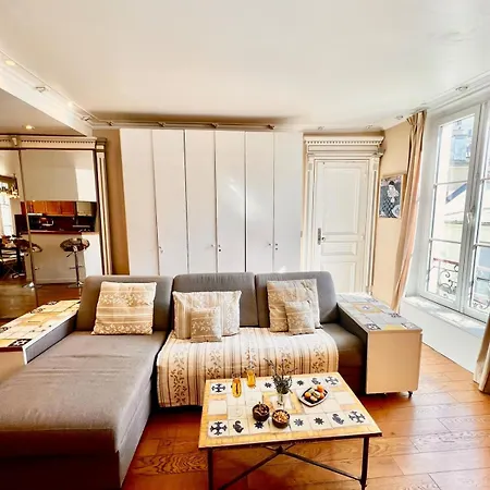 3p Baroque With Rooftop View Apartment Paris